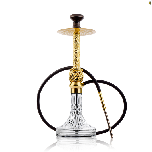 Roar X-Function Hookah - Gold