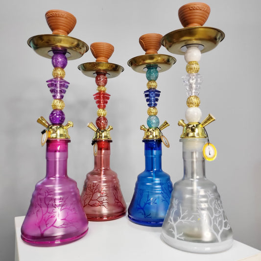 कोकोया एचएलटी हुक्का