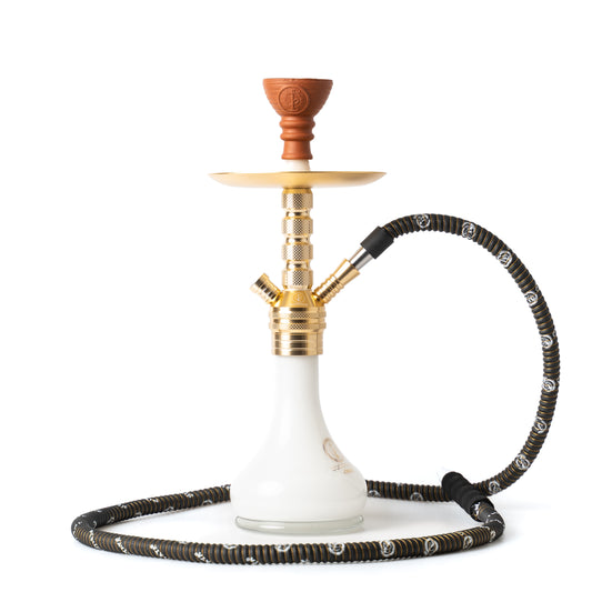 COCOYAYA Teddy Hookah Combo at ₹5399/-