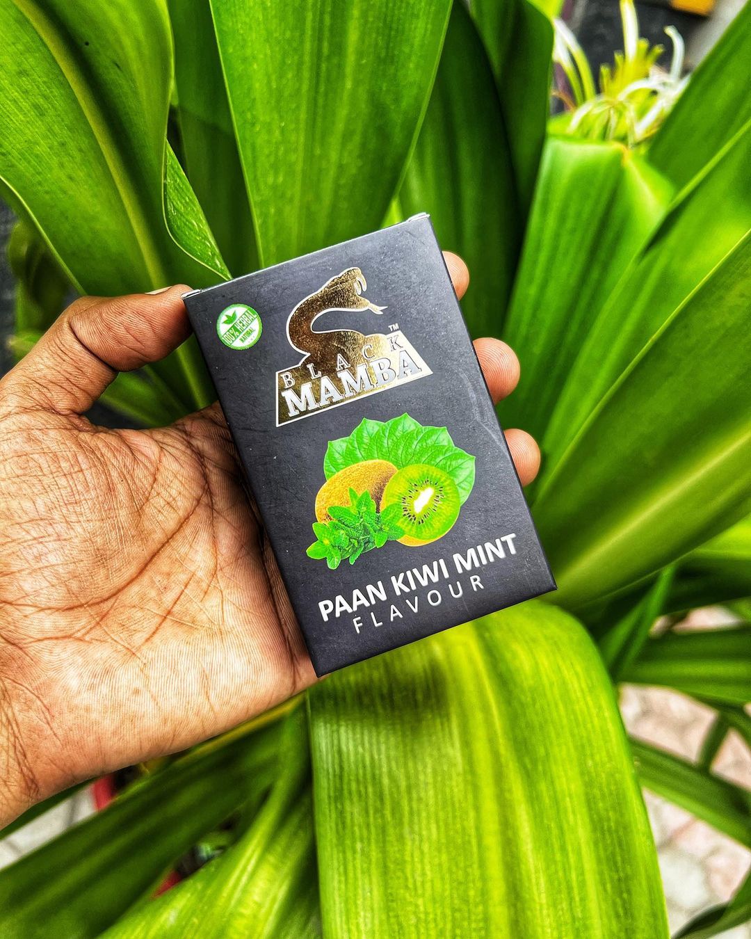 Herbal Pan Kiwi Mint Hookah Flavor