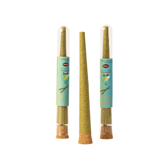 Blunt Smoking Cone - Perfect Rolls (Pack of 2)