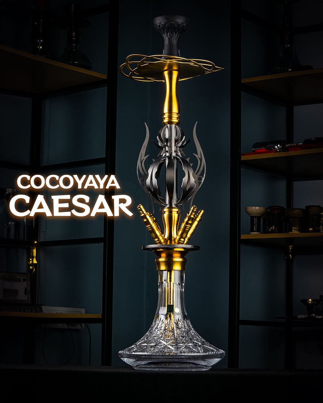 COCOYAYA Caesar Hookah - 4 Pipe