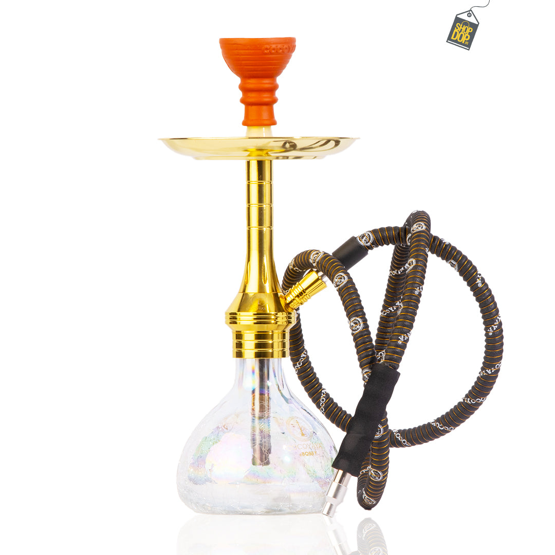 COCOYAYA Bobby Hookah - Golden (Transparent Base)