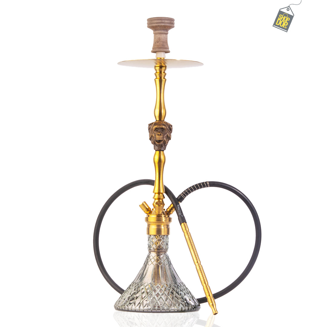 COCOYAYA Jungle Series Mojo Hookah - Golden (Transparent Base)