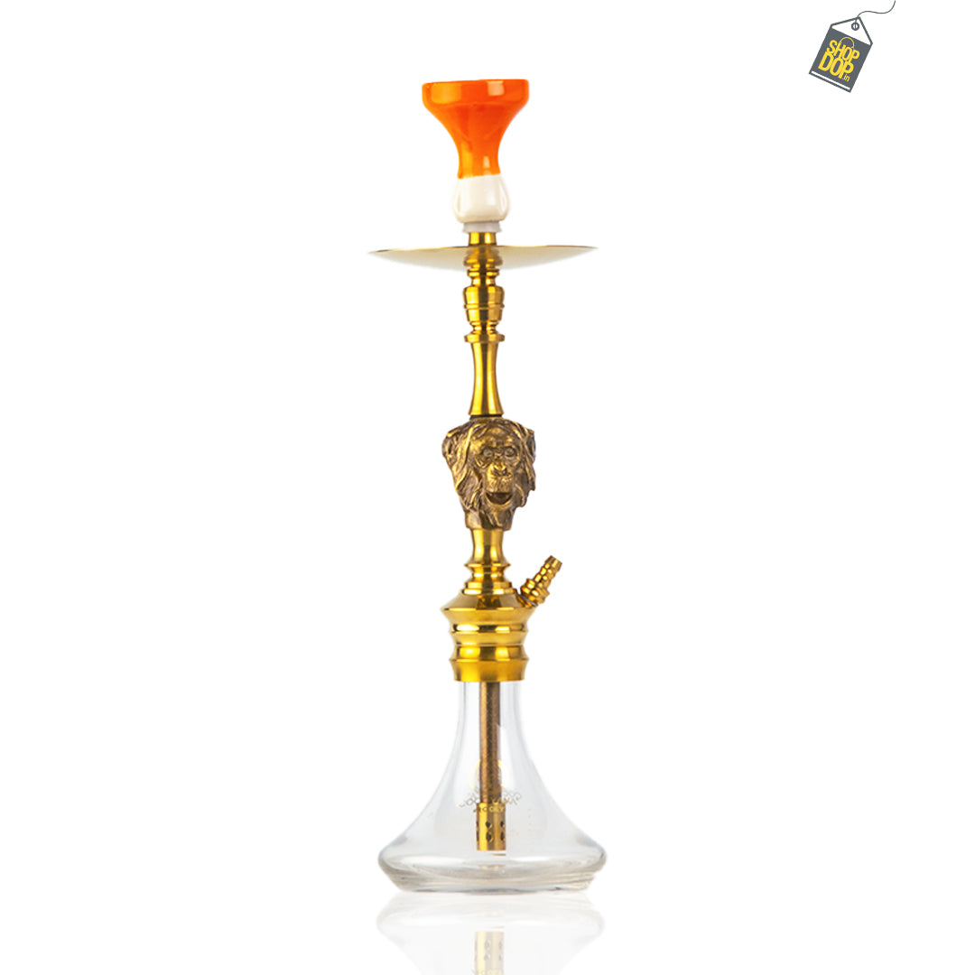 COCOYAYA Mojo Bohemian Hookah - Gold Stem / Transparent Base