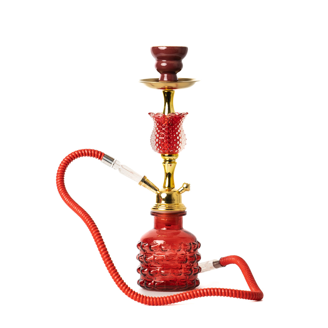 Buy Qehwa Hookah Flavors 50g Pack All Tastes Online at Best Price