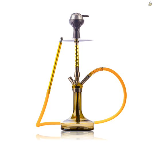 Twister Dual Pipe Hookah - Gold