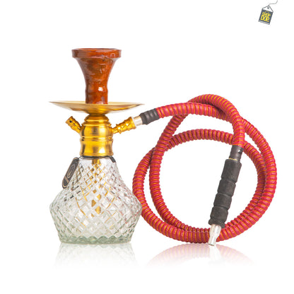 COCOYAYA X10 Hookah - Gold Stem / Transparent Base