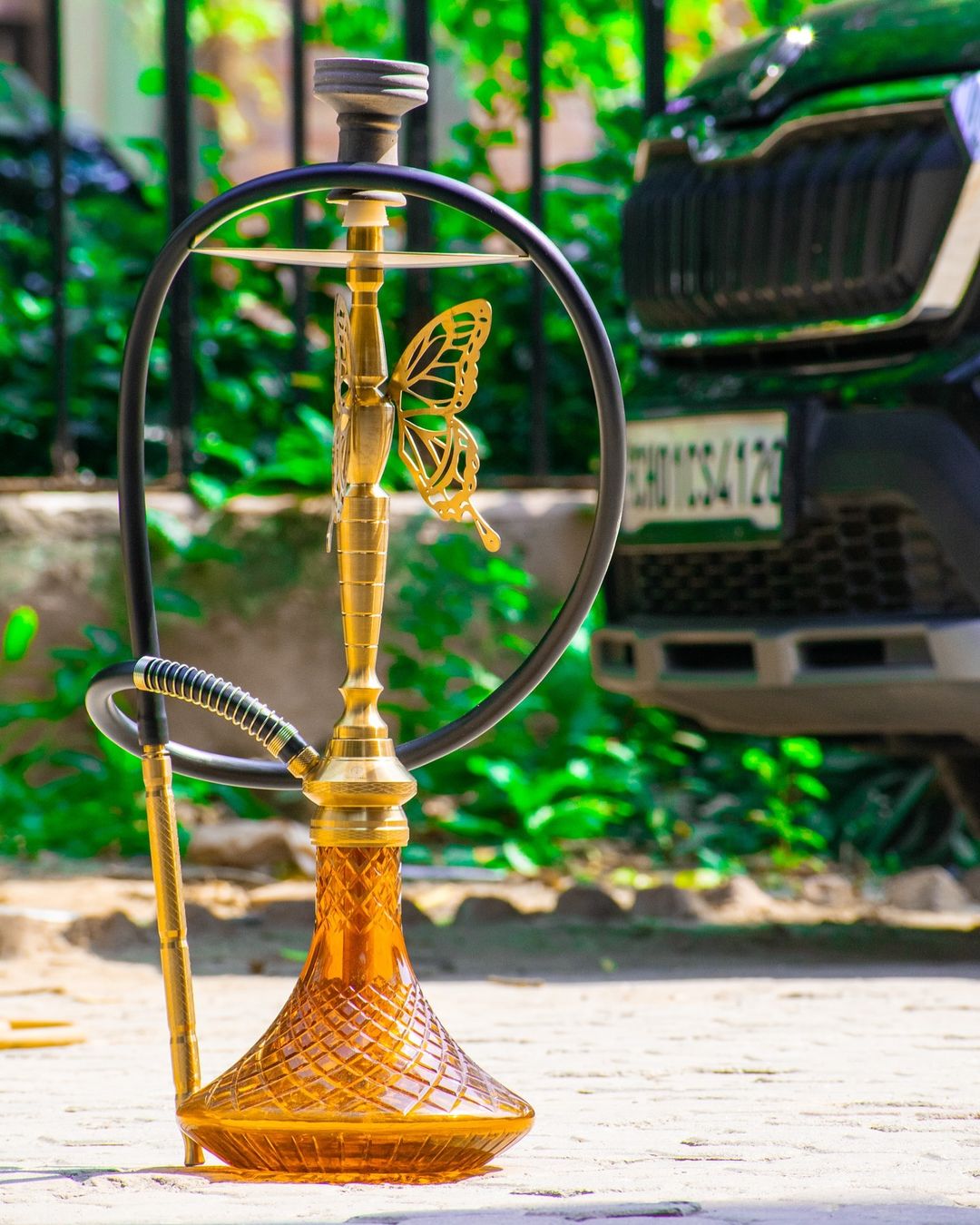 COCOYAYA Draco Hookah - Golden Stem / Amber Base