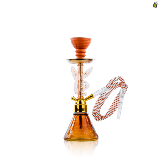 Bunny Pumpkin Hookah - Brown