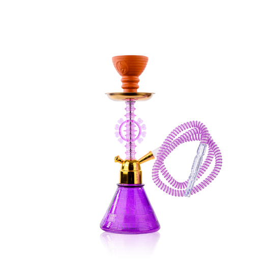 Heart Ferry Pumpkin Hookah - Purple