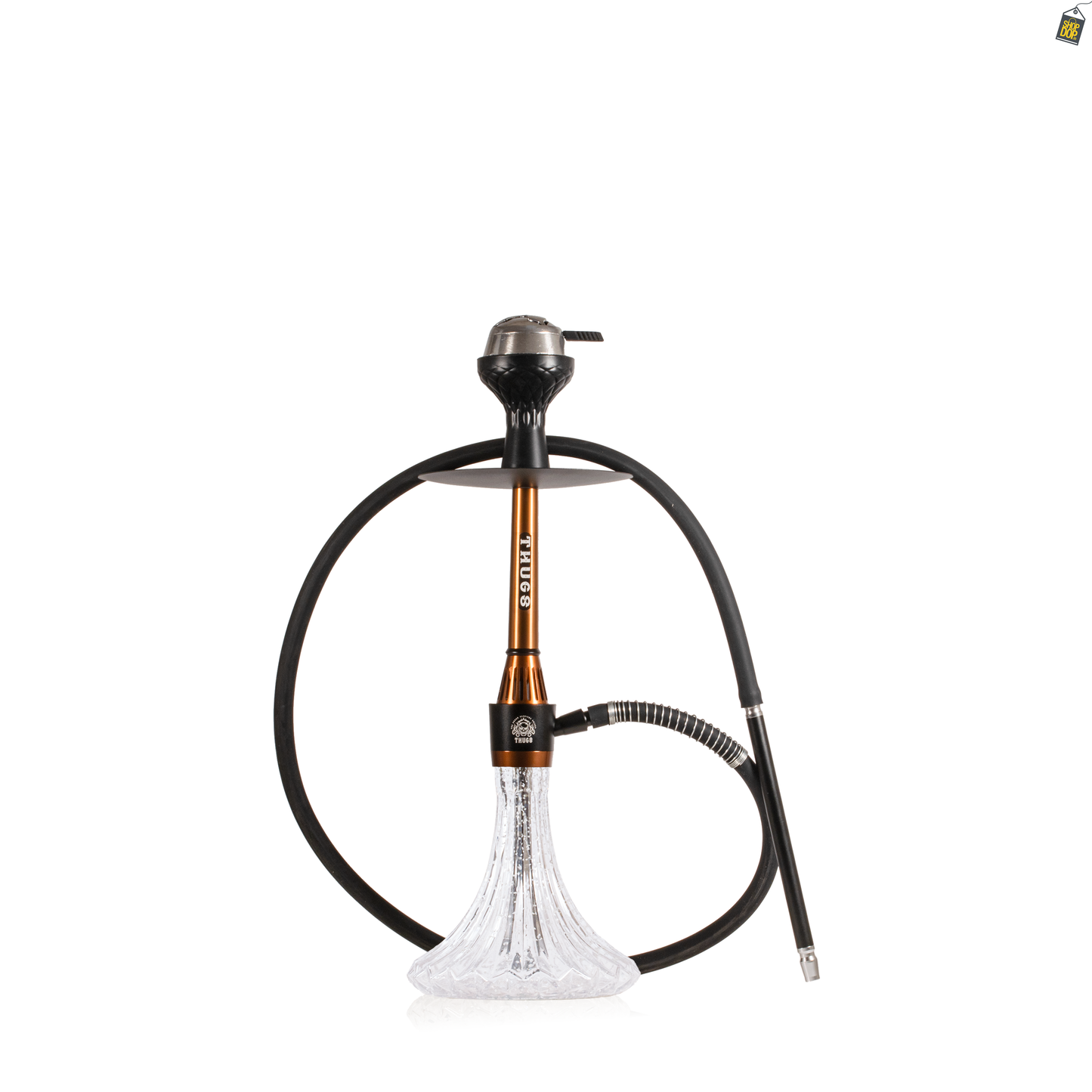 Hevil Hookah with Radium Base - Coffee