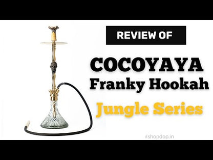 COCOYAYA Jungle Series Franky Hookah - Golden (Transparent Base)