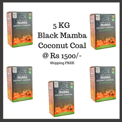 Black Mamba Coconut Coal (Pack of 5)