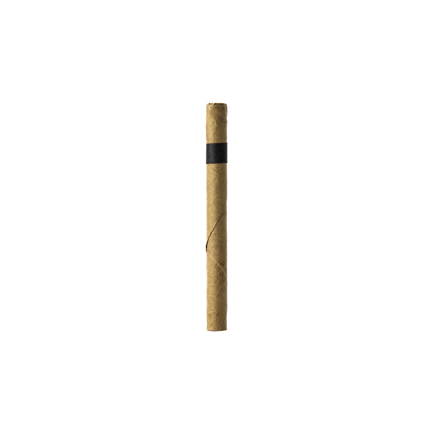 Cordia Leaf Blunt Smoking Roll (Single Tube)